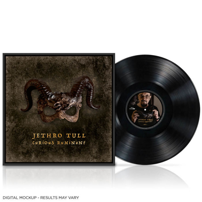 Jethro Tull : Curious Ruminant 180gr Vinyl Record