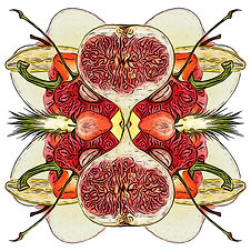 GEO Fruit 1 poster