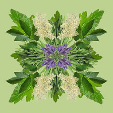 GEO Herb 1 avocado