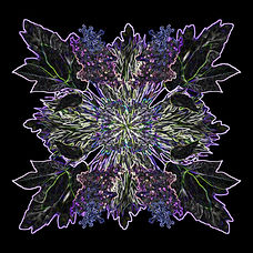 GEO Herb 1 neon