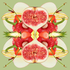 GEO Fruit 1 avocado