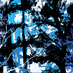 Blue Forest Poster