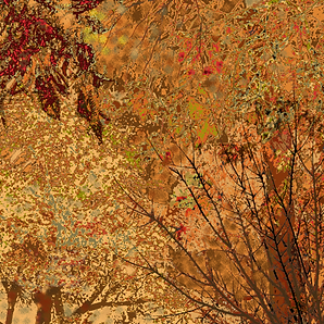 Autumn Trees detail