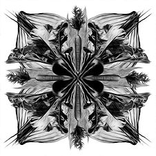 GEO VEG 2 mono