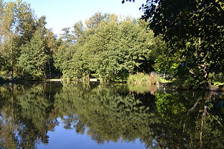 DSC_0082.JPG