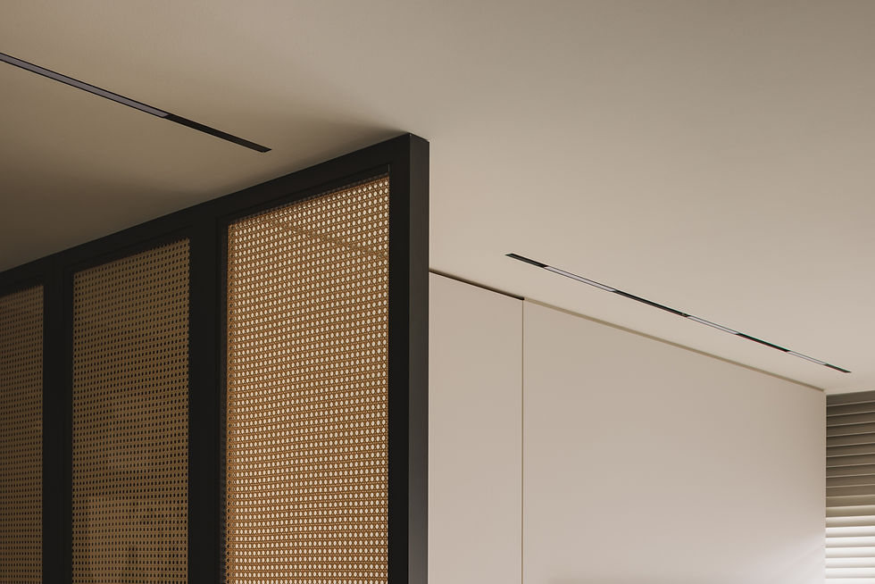 divider screen modern home