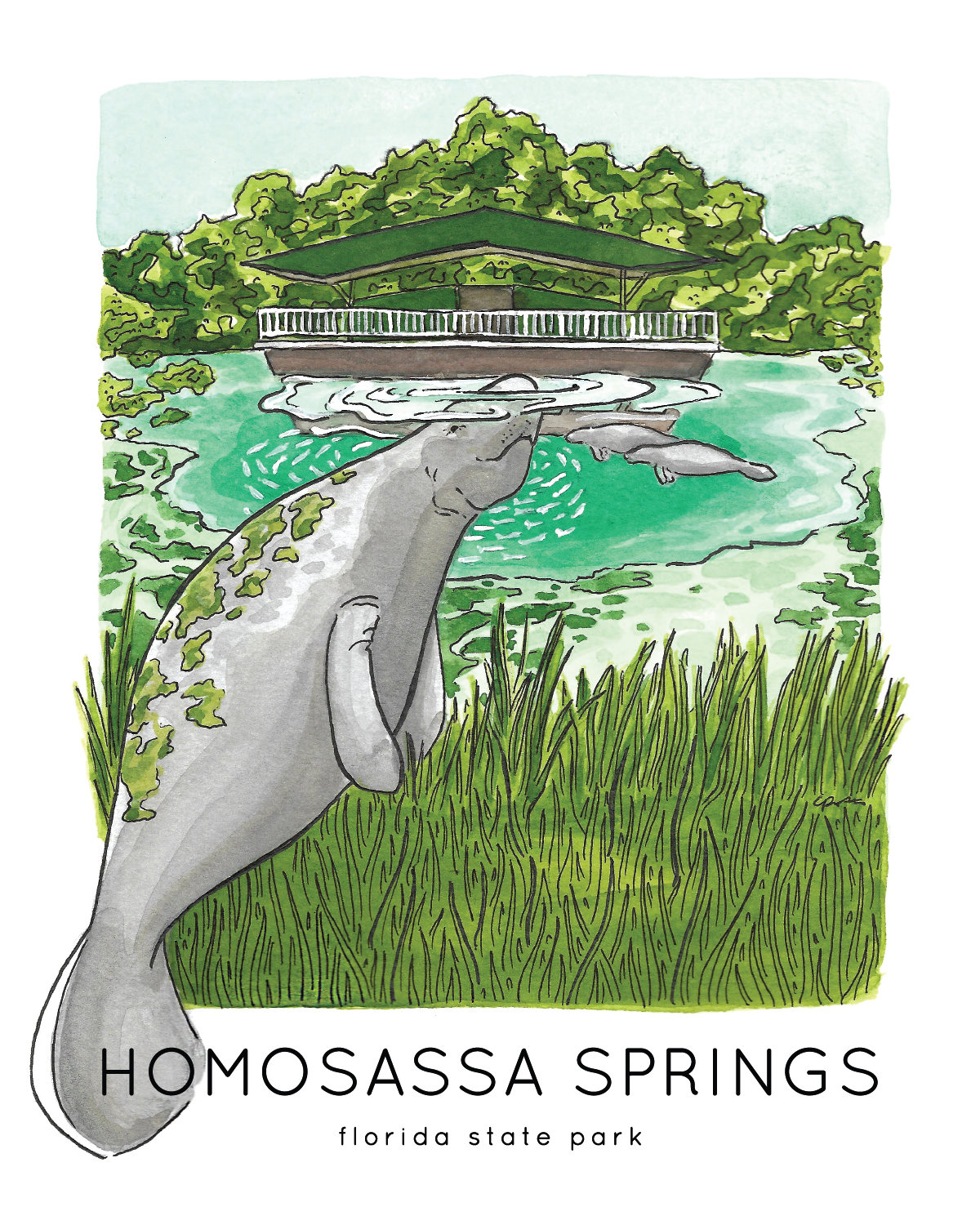 Homosassa Springs Wildlife Florida State Park Print