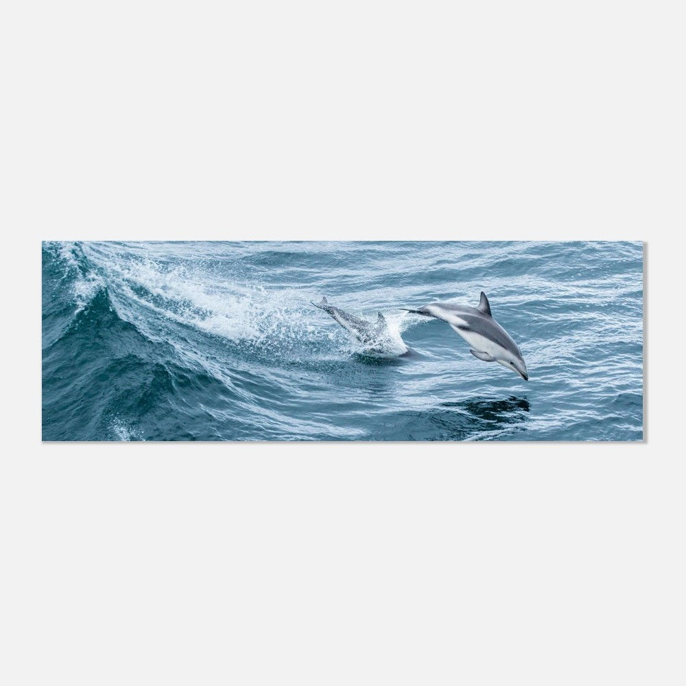 Breaking the Surface | 30x90 cm Aluminum Print