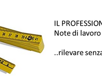 IL PROFESSIONISTA