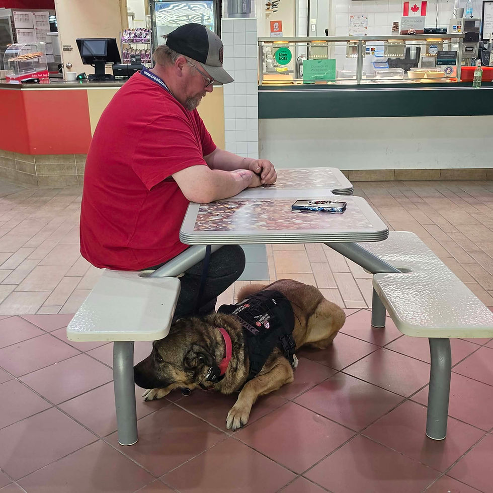 Man at cafe table with service dog resting at his feet.