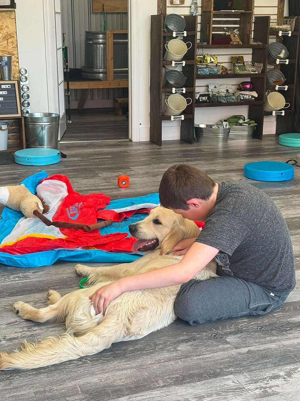 Person petting a Golden Retriever at a training center