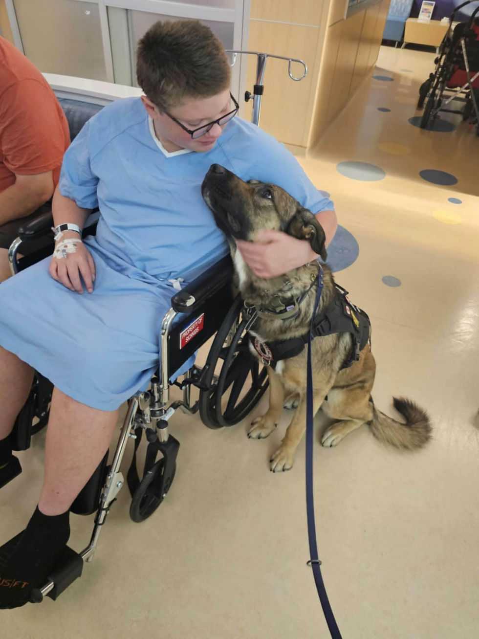 Patient in a wheelchair petting a therapy dog