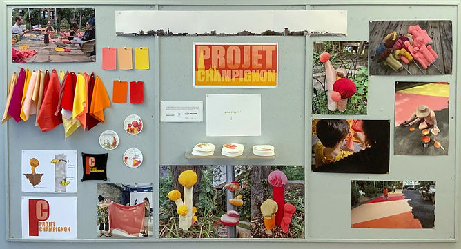 babillard Projet-champignon_2022.JPG