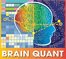 brain_quant_logo_cropped_edited.jpg