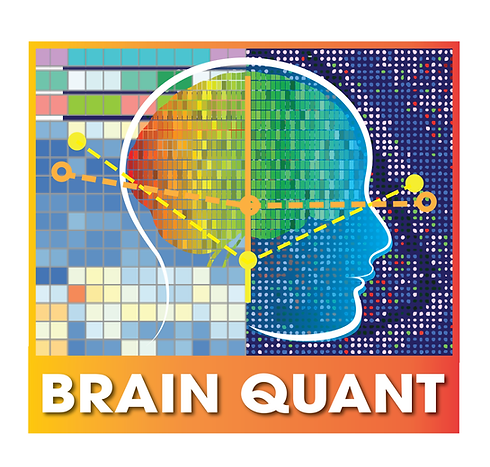 Logo brain quant-03.png