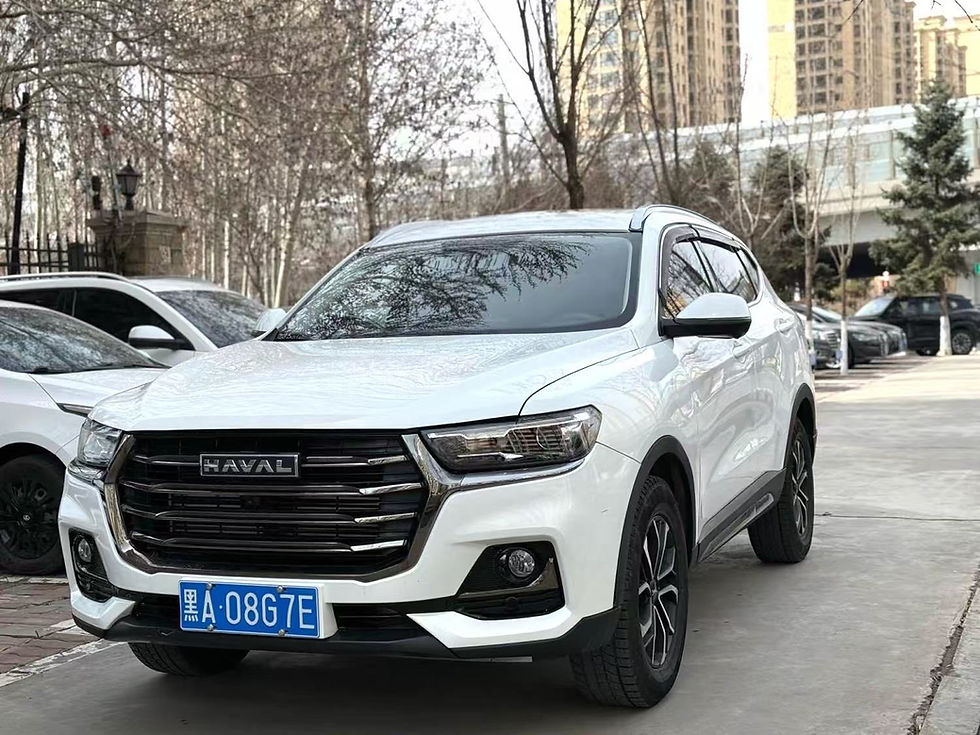 Thumbnail: Used Haval H6 1.5T National Trend Edition – Urban Version (2023)