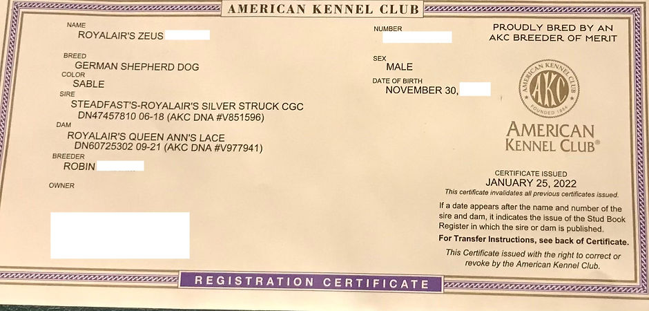 zeus akc.jpeg