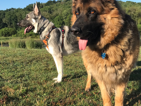 Love These Boys 🥰