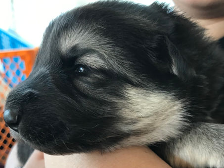Our Eyes Are Open!