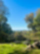 Mt. Gilead overlook.jpeg