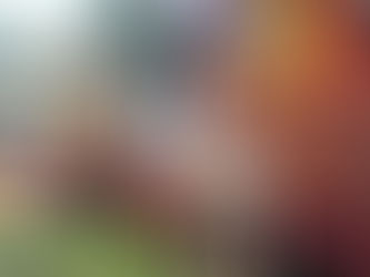 Dinorito Takes a Bite Out of Texas Eats! - San Antonio BBQ