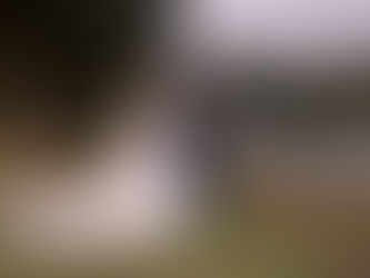 Bride and groom at Maryculter House