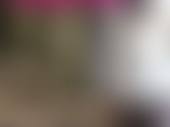 Woman with long black hair, long white shirt, dark trousers and bare feet walking through a sunlit forest path, surrounded by tall trees and greenery, conveying tranquility. Find new pathways