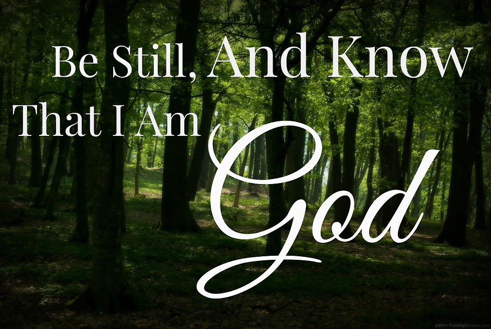 A picture of trees with the words "Be Still, And Know That I Am God" overlayed.