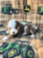 Cookies & Cream Side 4