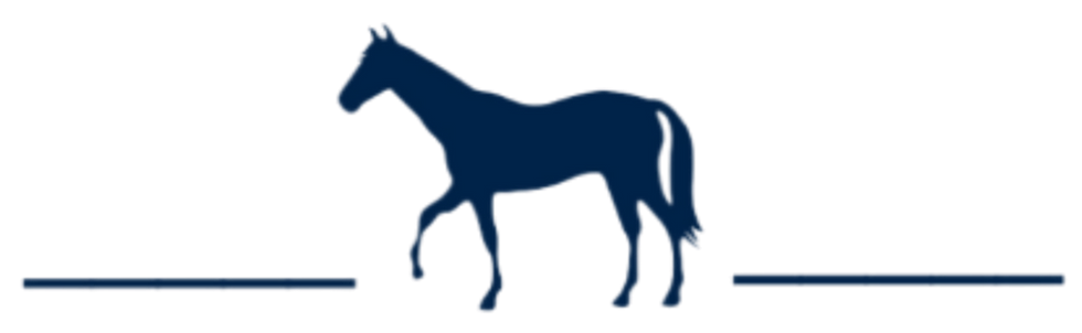 virginia-horse-and-home-new-logo-transparent-BG_horse