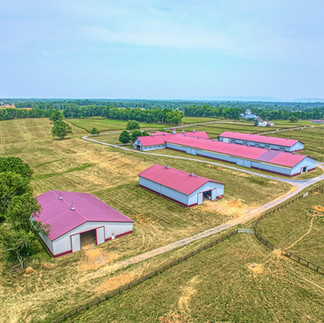 Aerial View of the Barn Facilities at Shotwell Farm