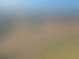 Belmar Farm, Middleburg, VA - Aerial View