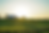 DIELLO- MBR-FARM-BACKGROUND