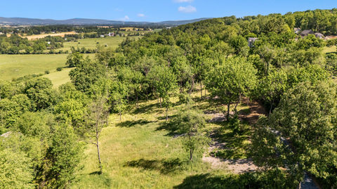 4422-teen-barnes-rd-aerial-view_0728_D