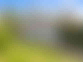 cottage-868-Estate-Vineyards-hcsir-realtor-peter-leonard-morgan