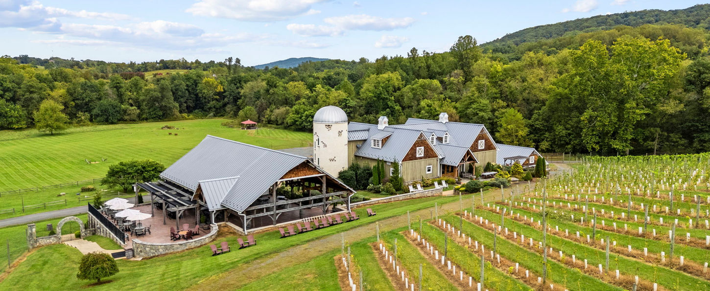 creeks-edge-winery-the-vineyard