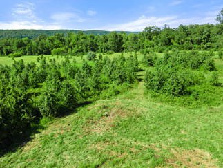 Calumet Lane, Bluemont, VA Aerial View