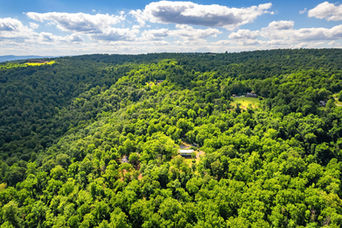 4791 Observatory Lane Aerial View