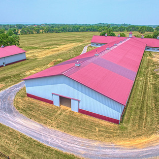 The Barn at Shotwell Farm