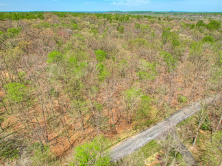 Belmar Farm, Middleburg, VA - Aerial View