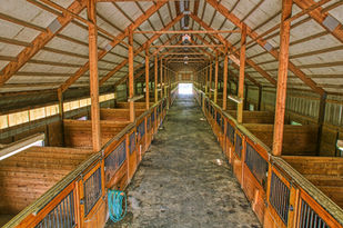 Stalls and Equine Facilities at Shotwell Farm