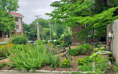 20240703_130437.jpg