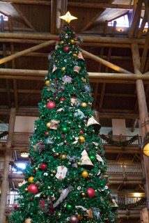 Wilderness Lodge at Christmas turns into a magical wonderland.
