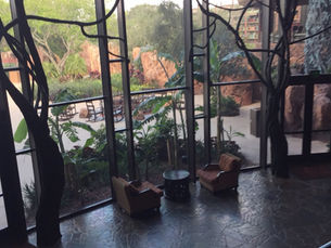Animal Kingdom Lodge