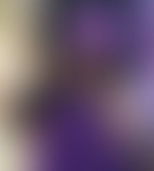 SAFE HAVEN OF PENDER COUNTY