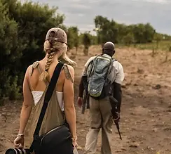 uganda-visa-wildlife-safari.webp