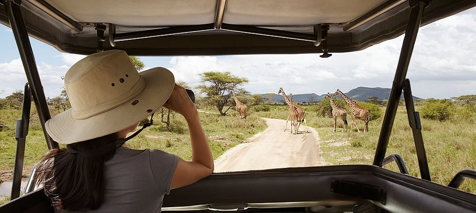 Eye-level view of a tourist observing a giraffe near a waterhole in Akagera National Park