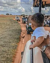 wildlife-tour-and-safari-in-uganda.webp