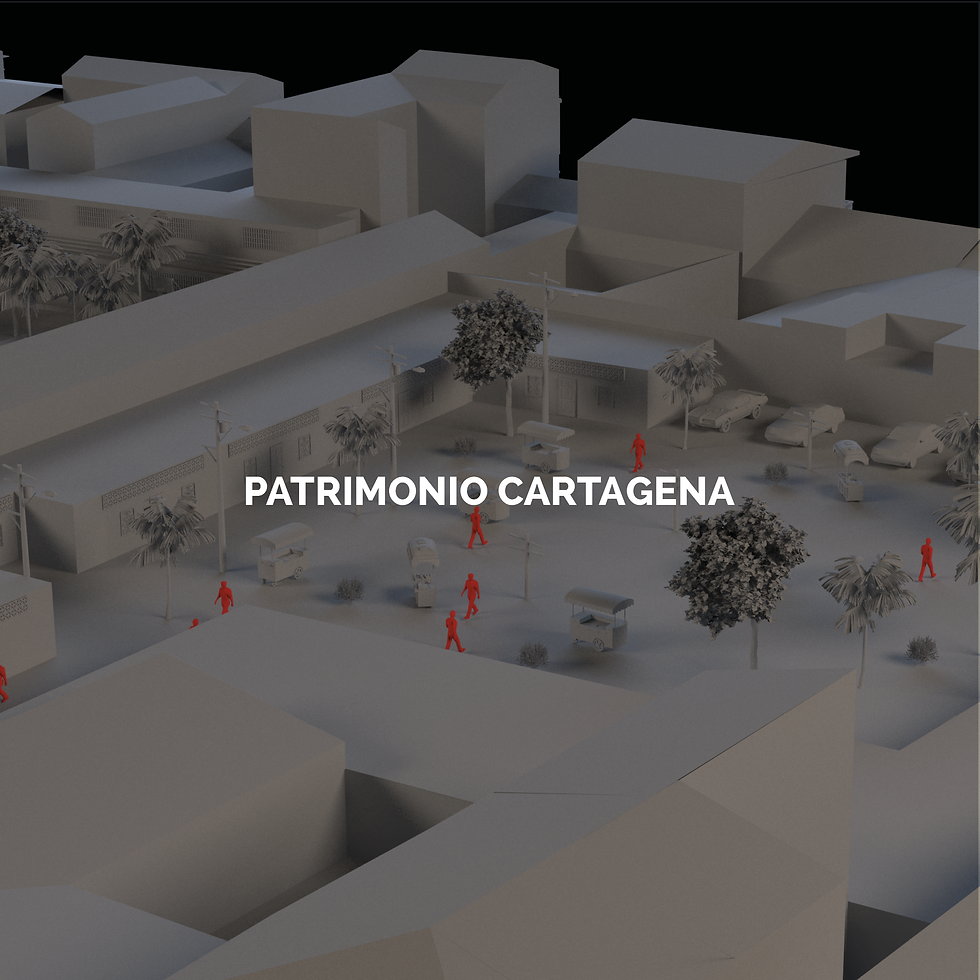 PROYECTO PATRIMONIO - SEGUNDO CORTE PAGINAS