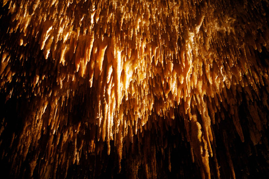 le grotte del drago